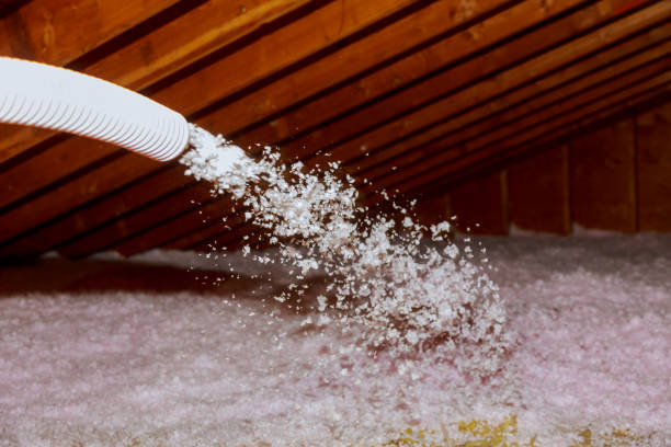 Best Insulation Contractor Near Me  in California, PA