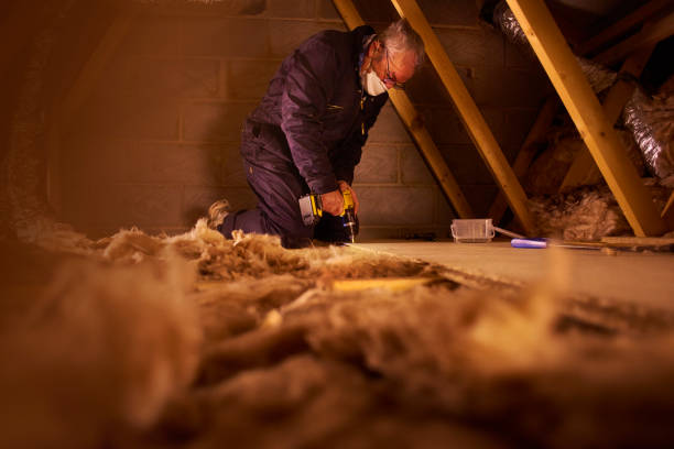 Best Local Insulation Services  in California, PA